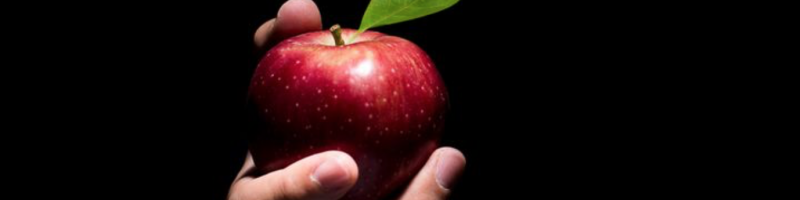EBC-FAQ 18 Can a Christian be demon possessed?