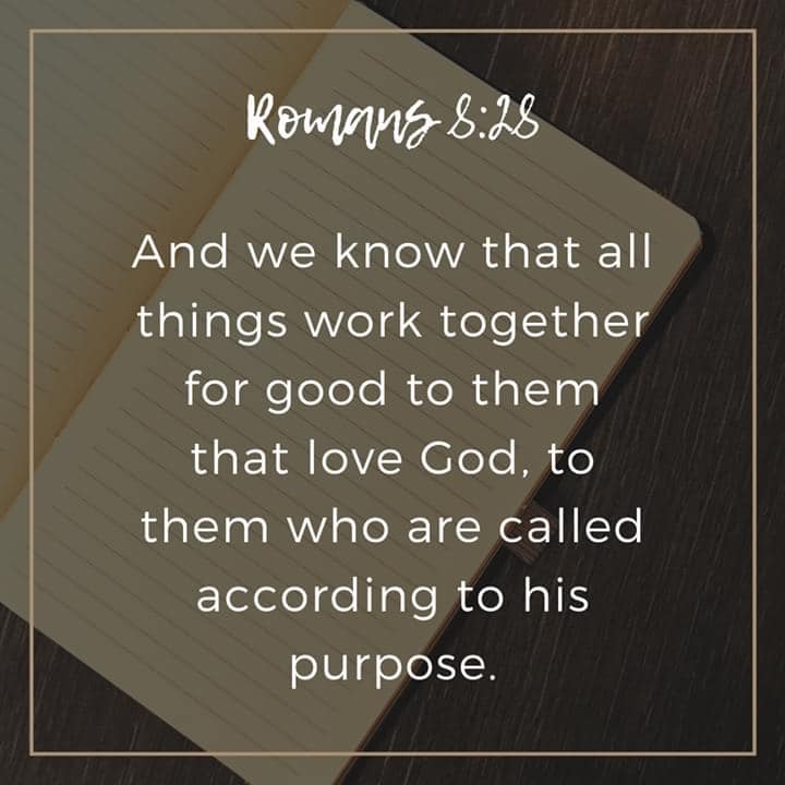 Romans 8:28 - His Purpose