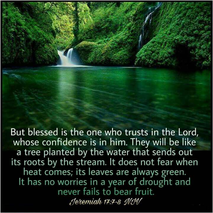 EBC-Verse Jeremiah 17:7-8 "But blessed is the one who trusts in the Lord,..."