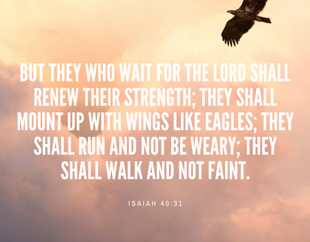 Verse - Isaiah 41:31