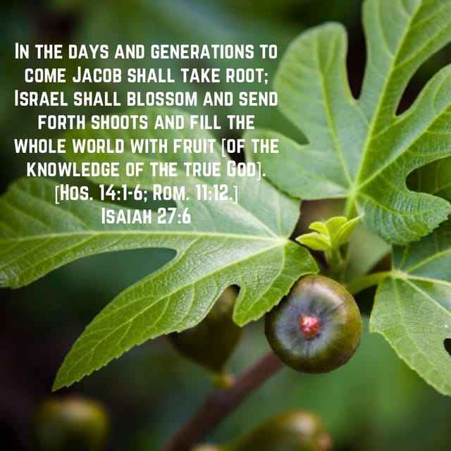 December 6 2020 EBC Sunday Sermon Signs Of The End The Ripe Fig december-6-2020-ebc-sunday-sermon-signs-of-the-end-the-ripe-fig