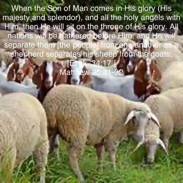 February 14 2021 EBC Sunday Sermon Signs Of The End Judgement february-14-2021-ebc-sunday-sermon-signs-of-the-end-judgement
